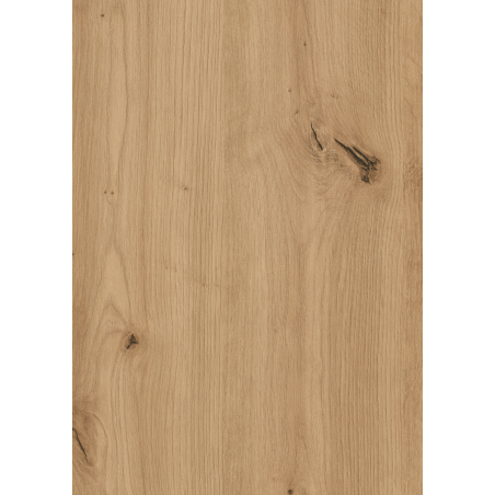 Pal melaminat Stejar sălbatic natur