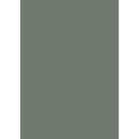 Pal melaminat Verde eucalipt